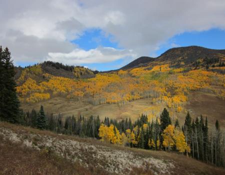 Arapaho National Forest in the Fall