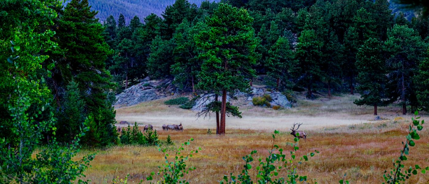 Vacation rentals in grand lake co grand mountain rentals