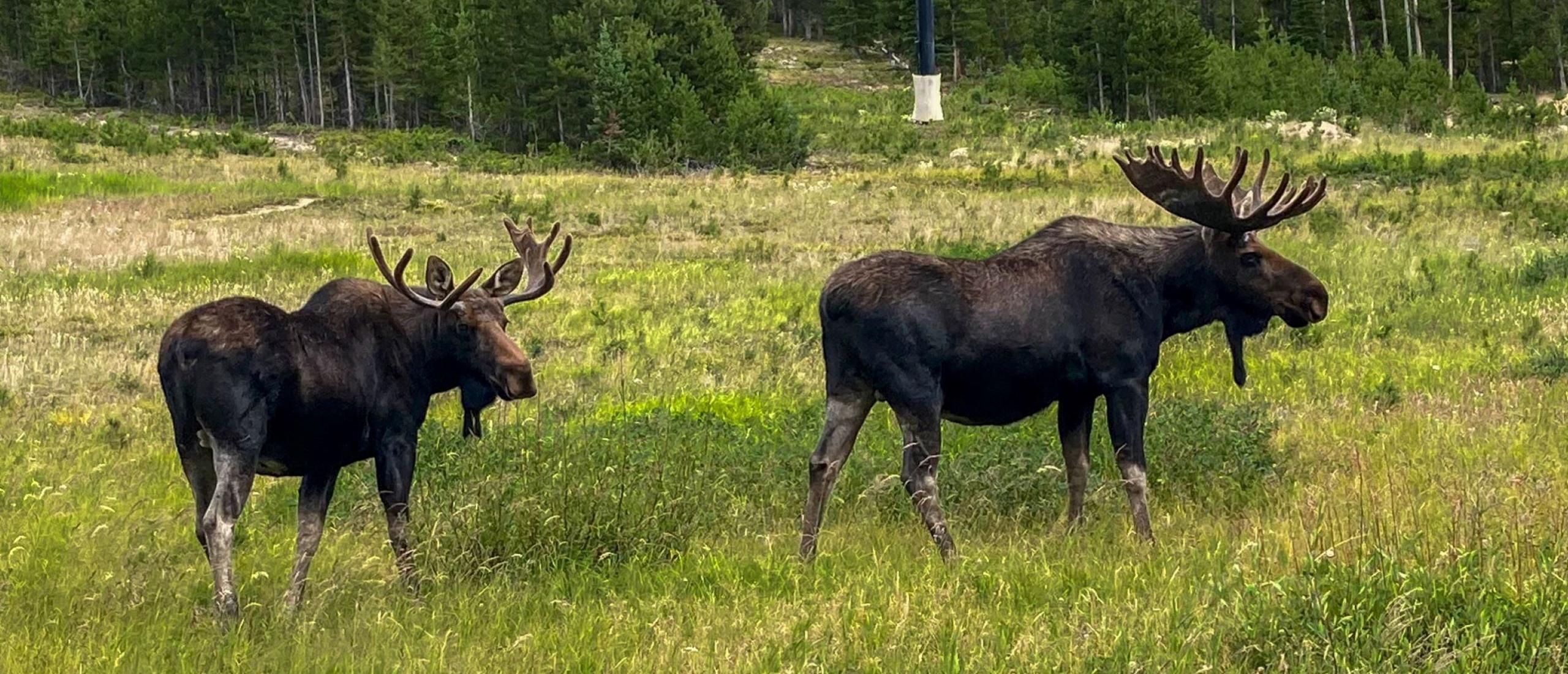 Vacation rentals in grand lake co grand mountain rentals