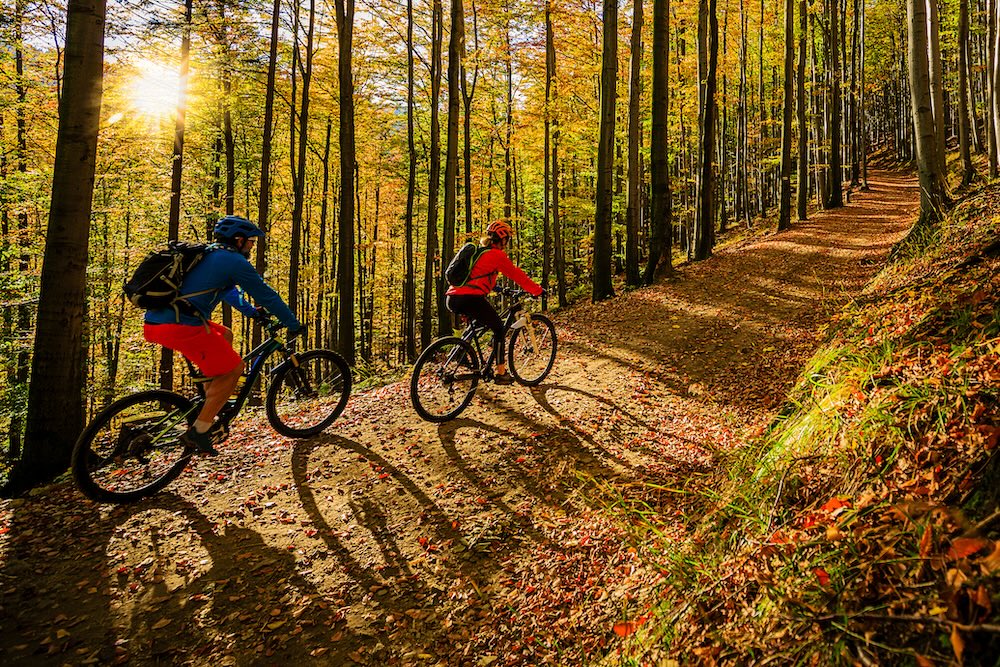 Two people mountain biking in forest during afternoon