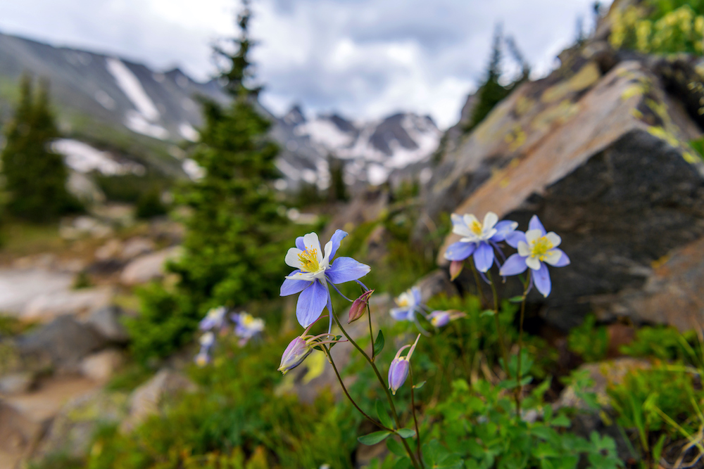 Spring in Grand Lake, Colorado